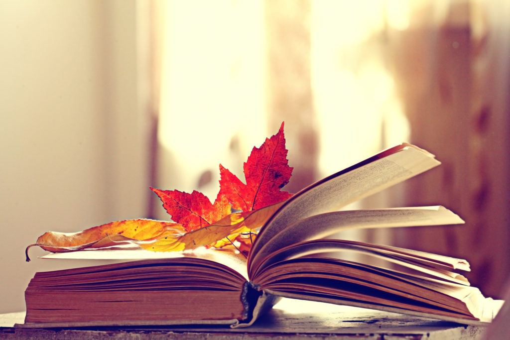 NaNoWriMo 2017